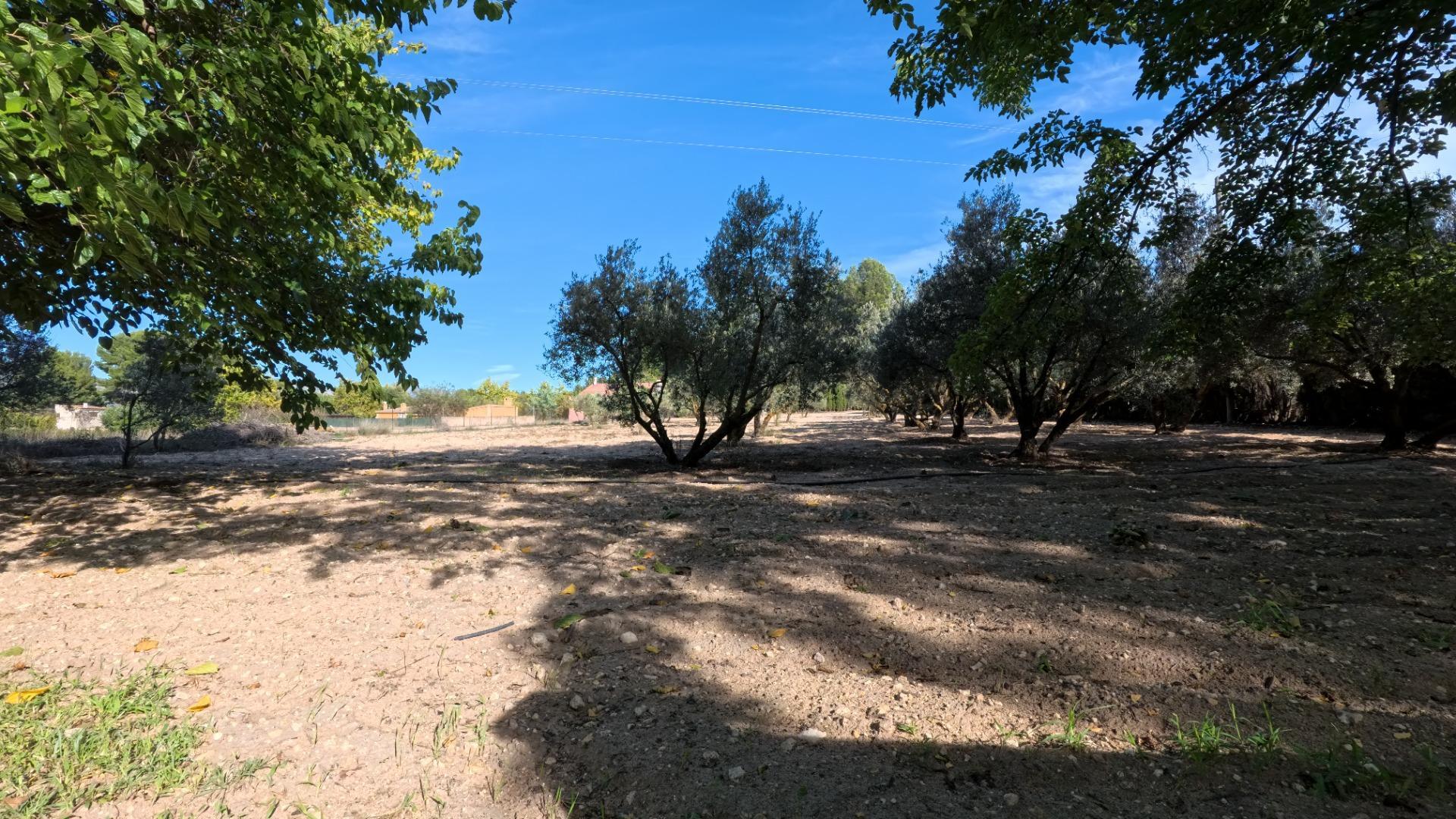 Casas o chalets-Venta-Castalla-1425753-Foto-40