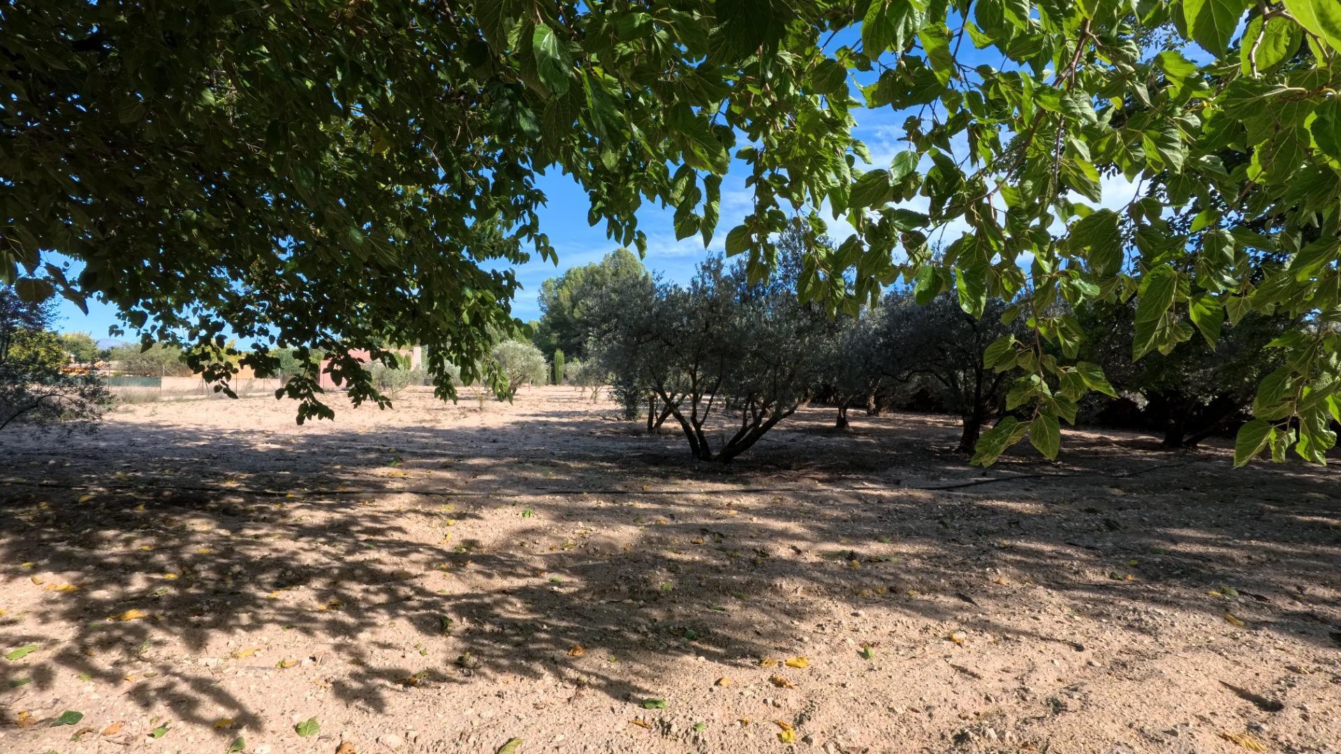 Casas o chalets-Venta-Castalla-1425753-Foto-41