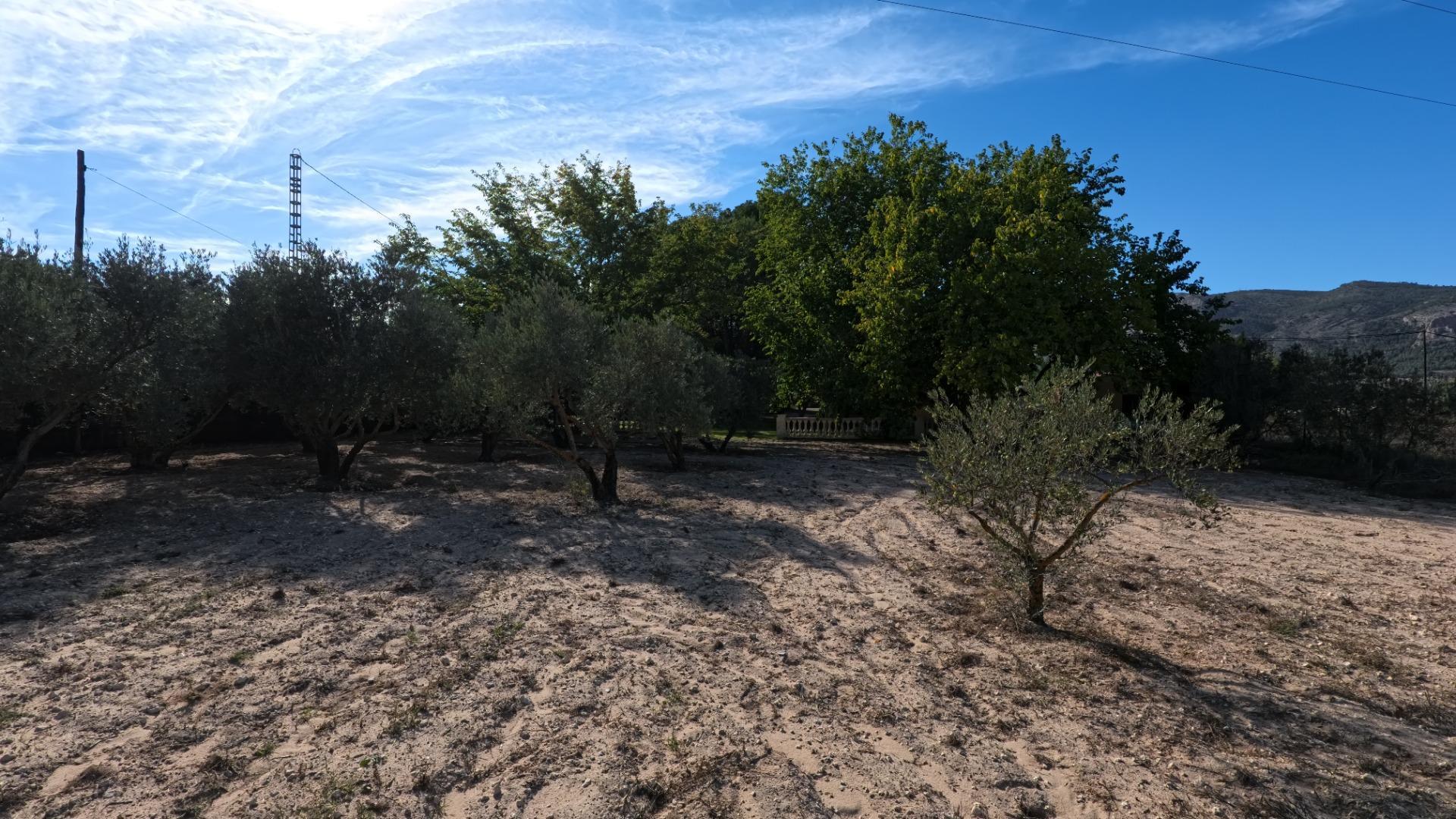 Casas o chalets-Venta-Castalla-1425753-Foto-42