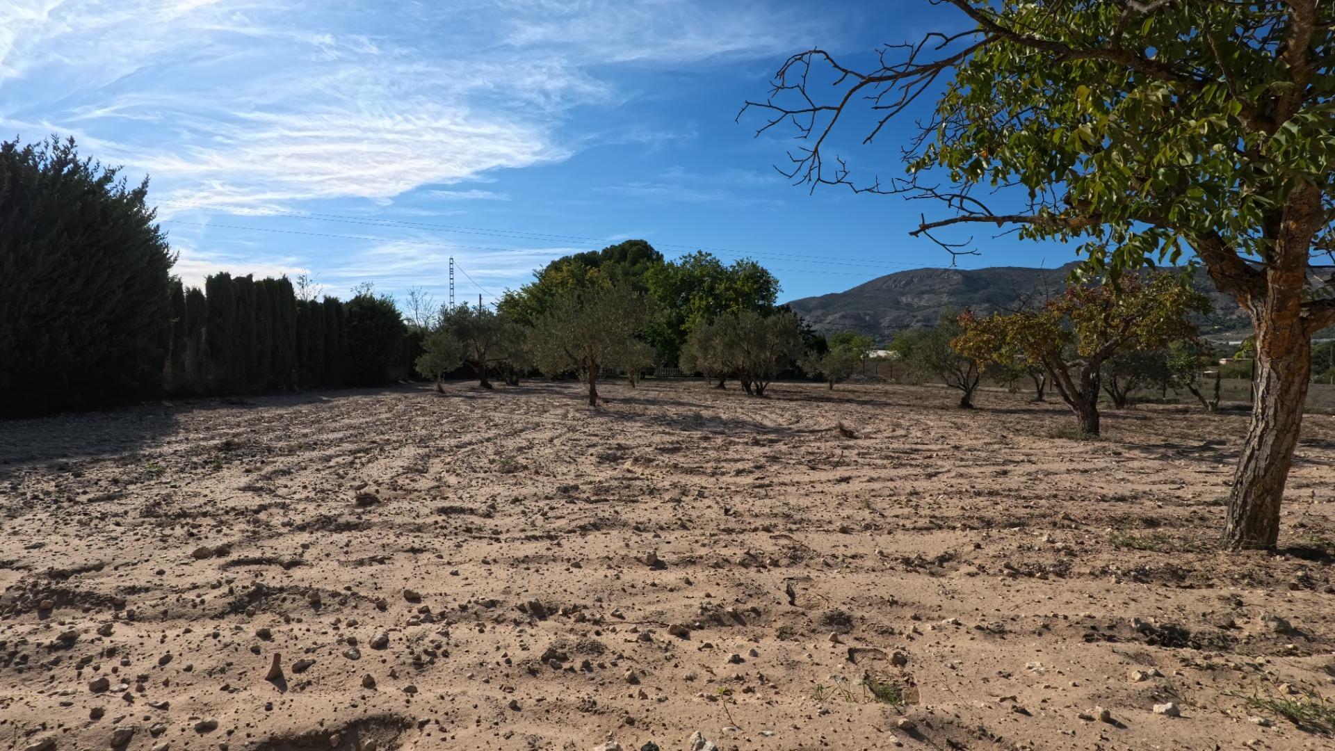 Casas o chalets-Venta-Castalla-1425753-Foto-45