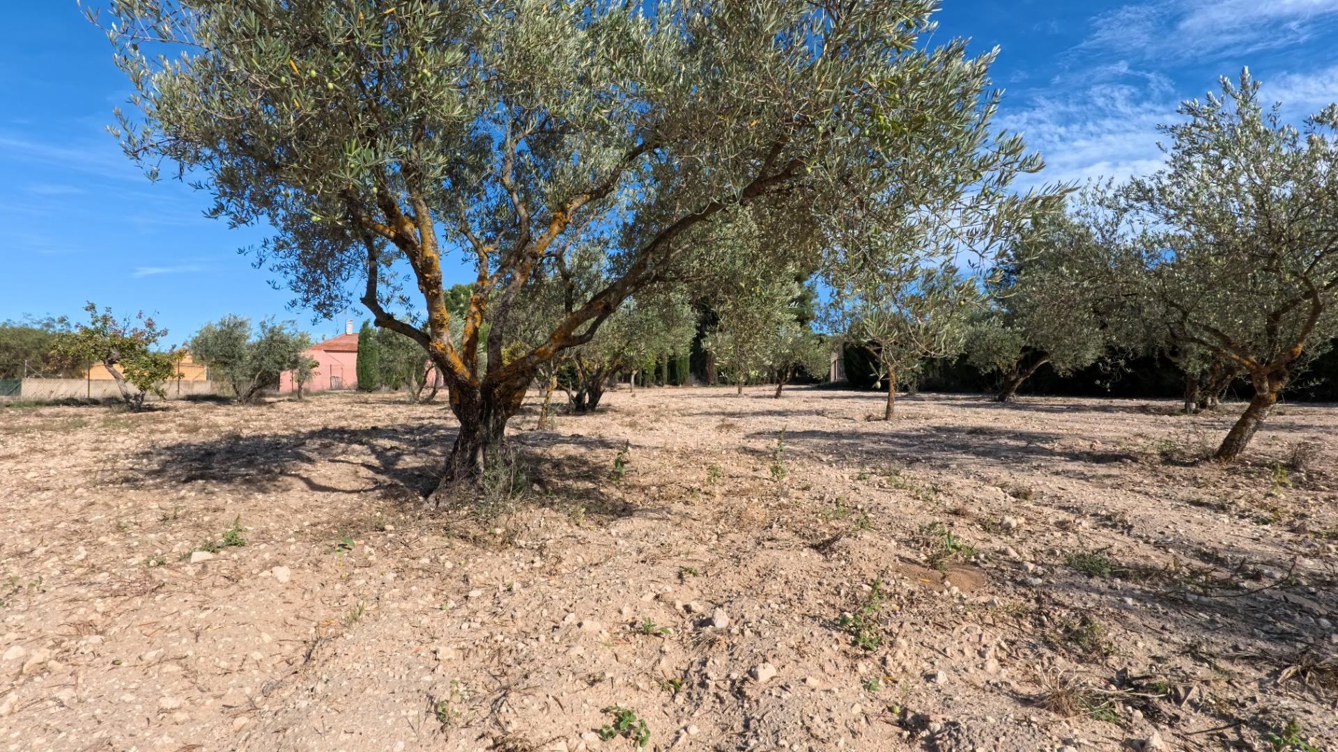 Casas o chalets-Venta-Castalla-1425753-Foto-43