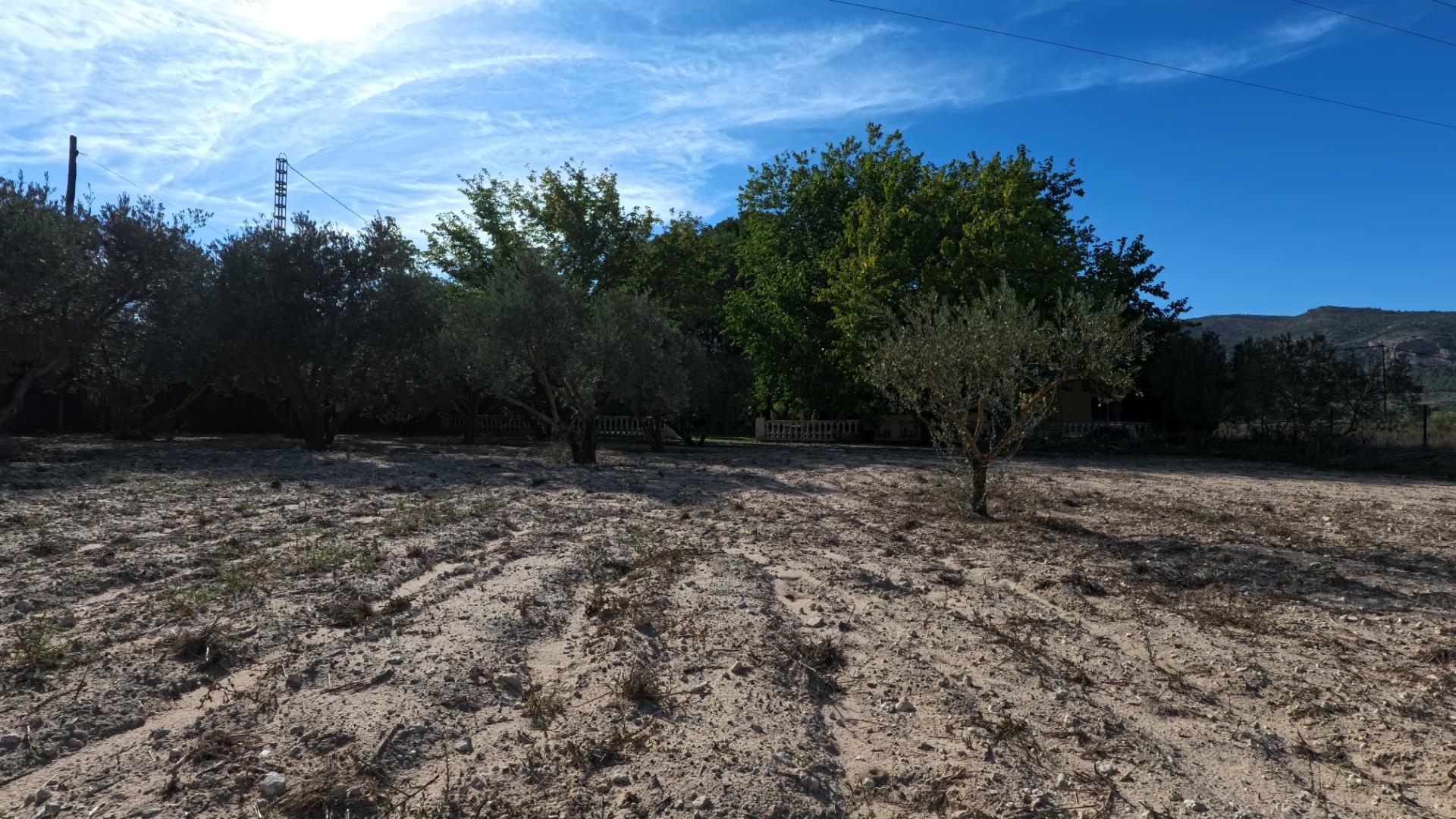 Casas o chalets-Venta-Castalla-1425753-Foto-44