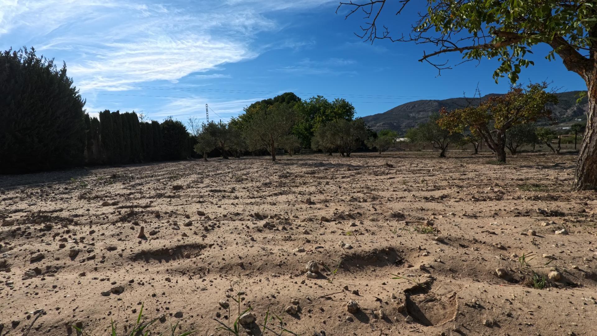 Casas o chalets-Venta-Castalla-1425753-Foto-46