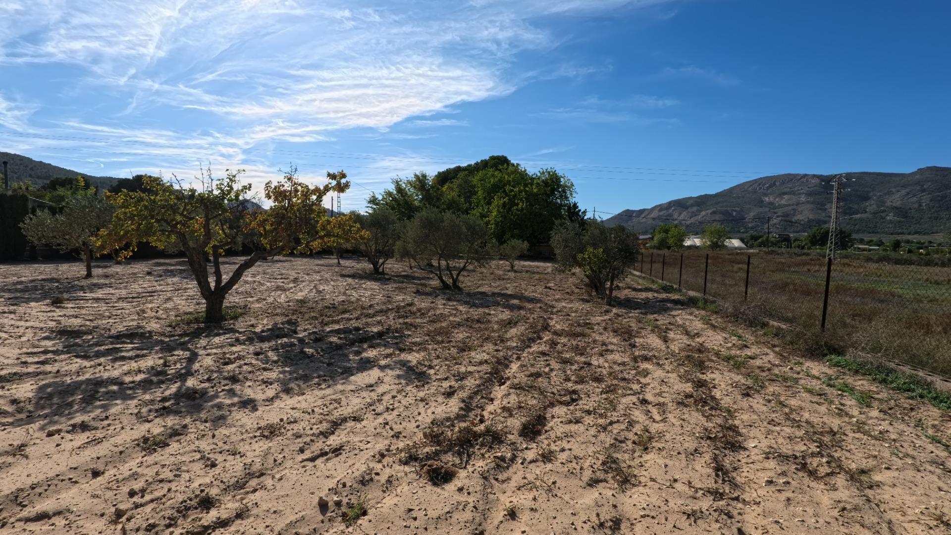 Casas o chalets-Venta-Castalla-1425753-Foto-47