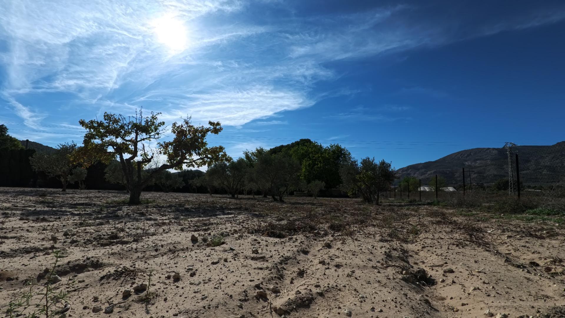 Casas o chalets-Venta-Castalla-1425753-Foto-49