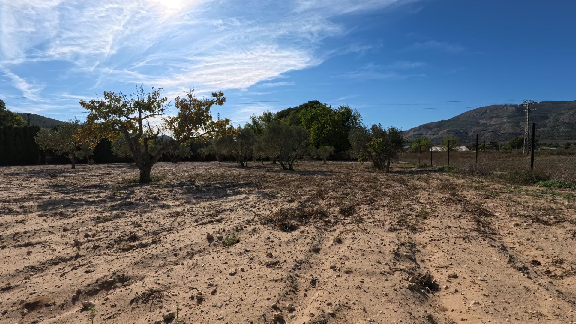 Casas o chalets-Venta-Castalla-1425753-Foto-48