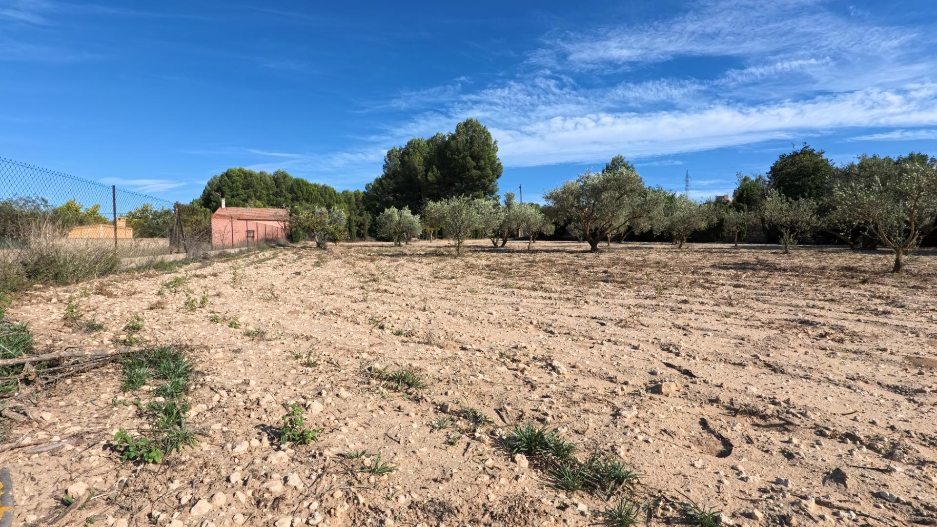 Casas o chalets-Venta-Castalla-1425753-Foto-50