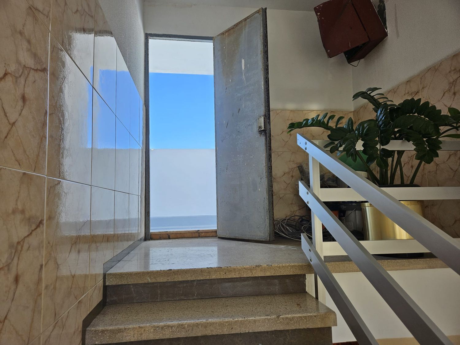 Pisos-Venta-Las Palmas de Gran Canaria-2112983-Foto-13