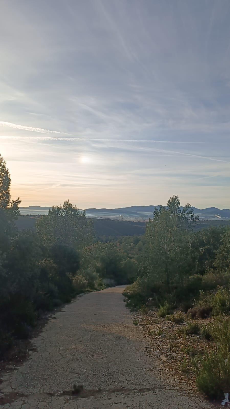 Fincas y solares-Venta-CastellÃ³n-CastellÃ³n de la Plana-2112989-Foto-5