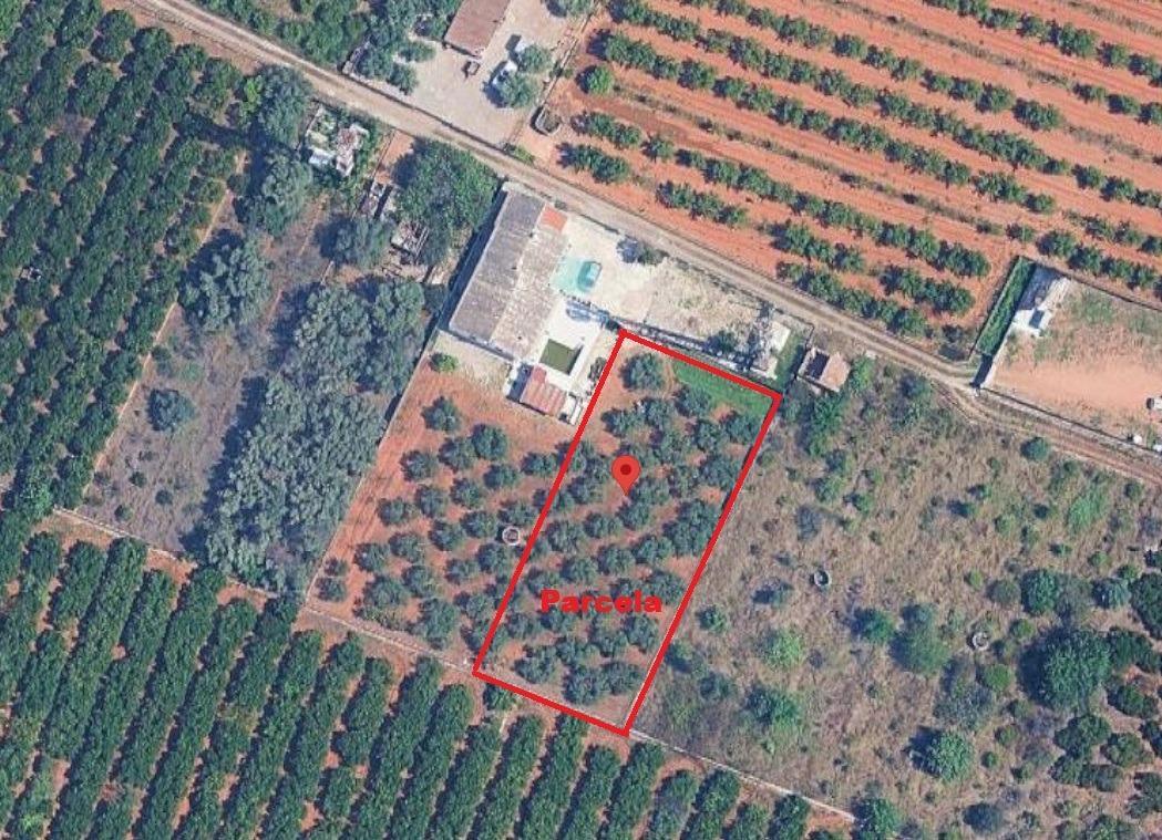 Fincas y solares-Venta-CastellÃ³n-CastellÃ³n de la Plana-2112989-Foto-3