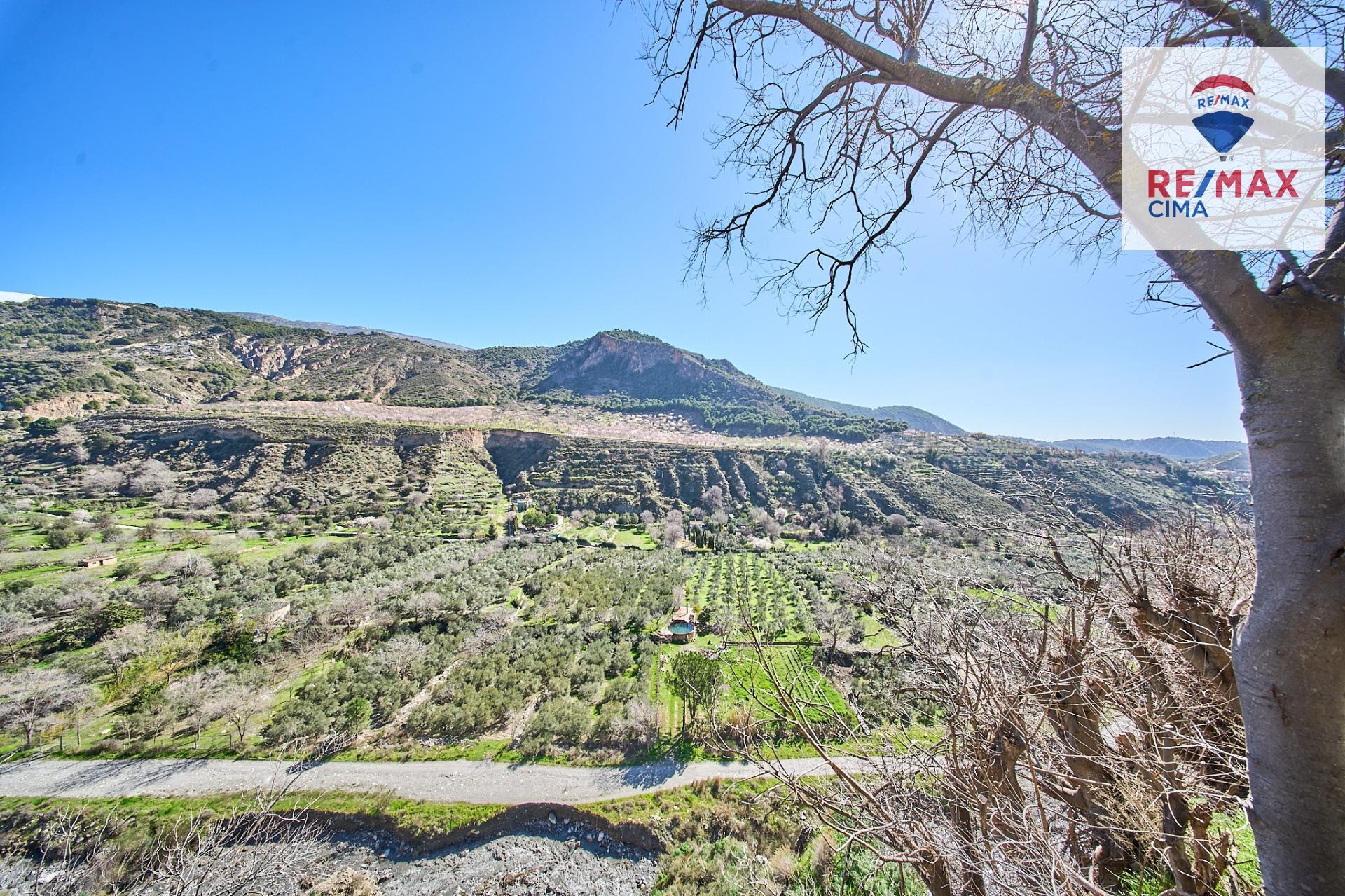 Negocios-Alquiler-NigÃ¼elas-2151774-Foto-24