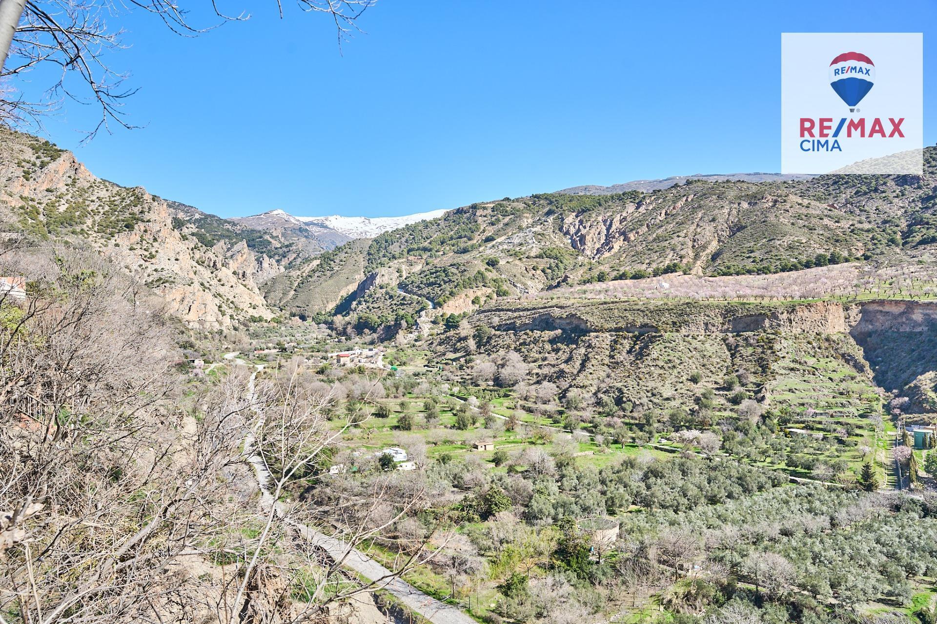 Negocios-Alquiler-NigÃ¼elas-2151774-Foto-41