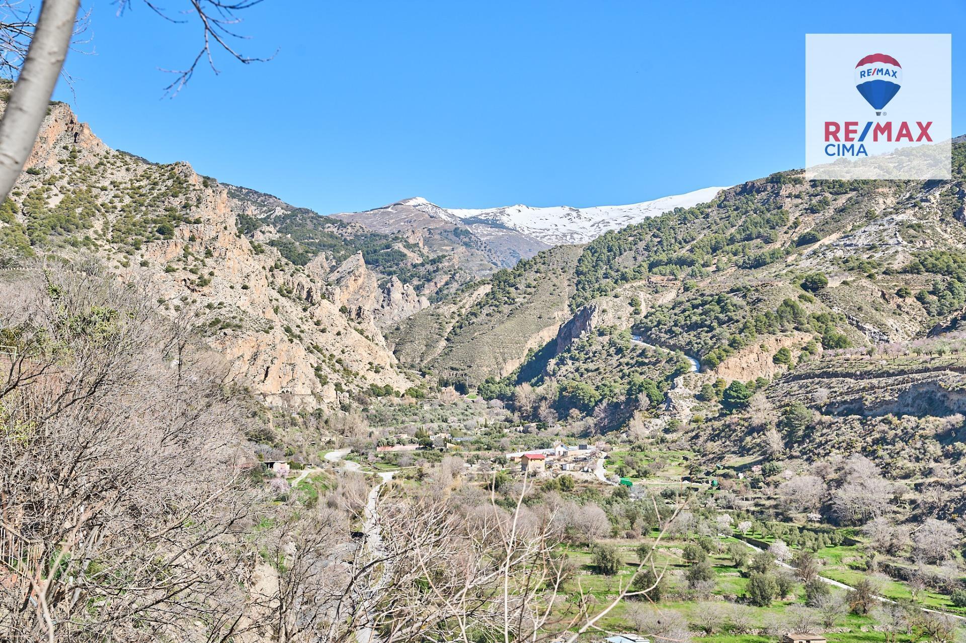 Negocios-Alquiler-NigÃ¼elas-2151774-Foto-42