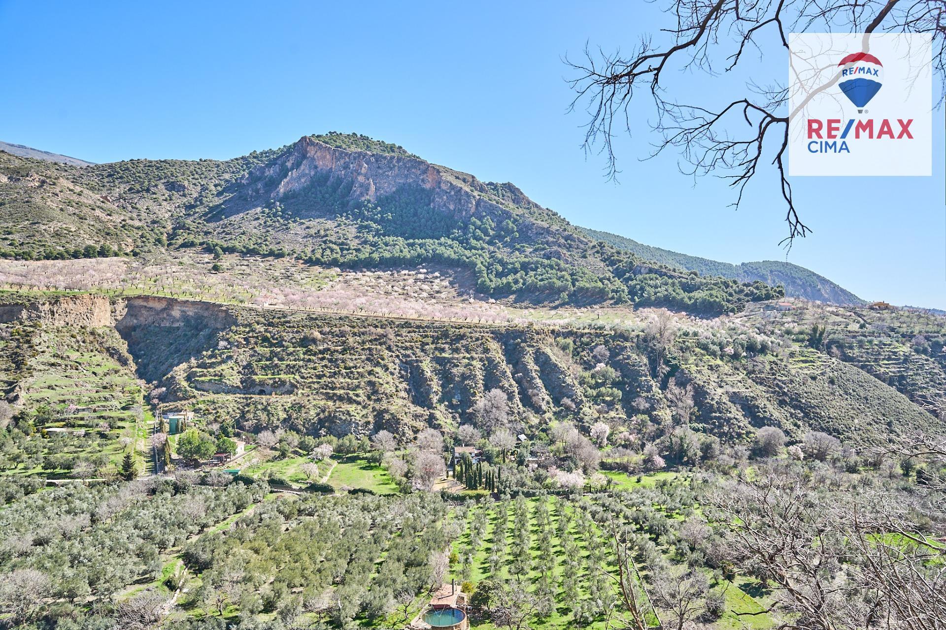 Negocios-Alquiler-NigÃ¼elas-2151774-Foto-40