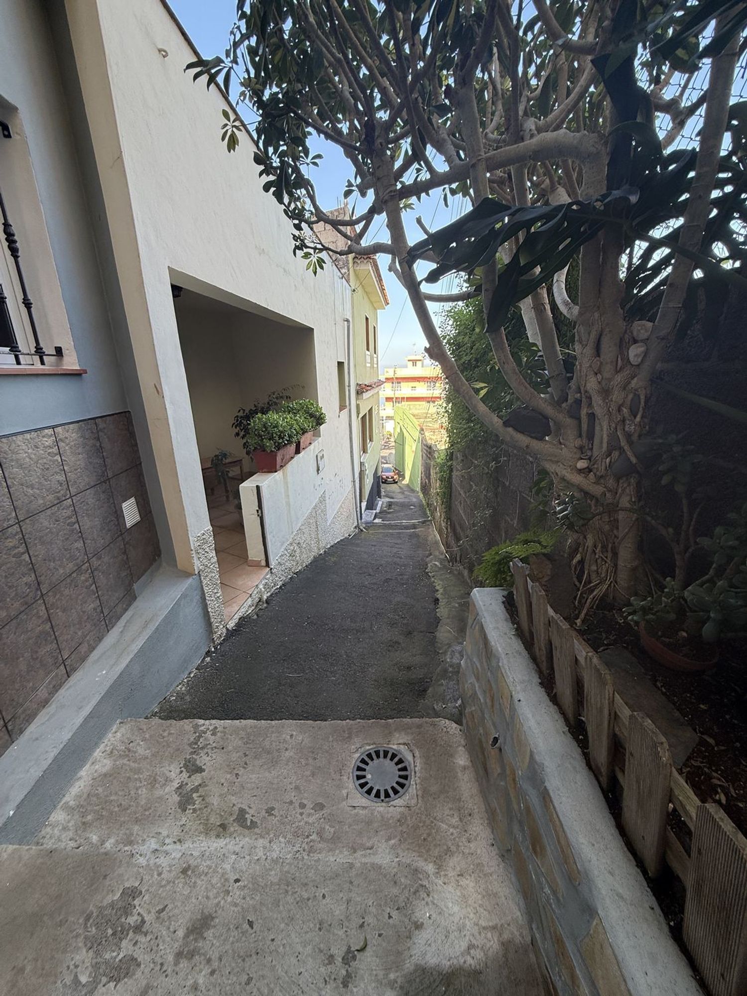 Pisos-Alquiler-La Victoria de Acentejo-2113653-Foto-8