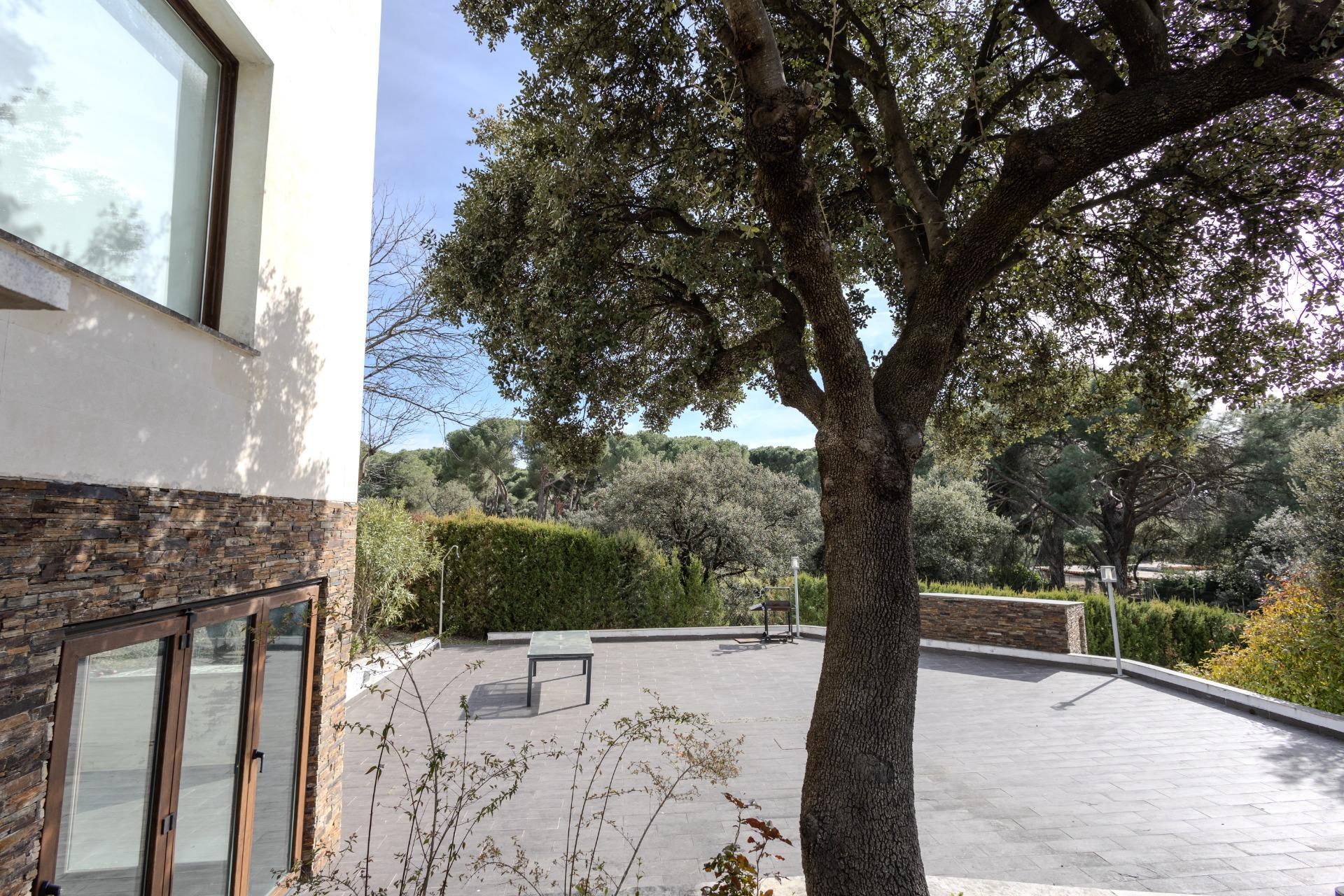 Casas o chalets-Alquiler-Pozuelo de AlarcÃ³n-2113671-Foto-45