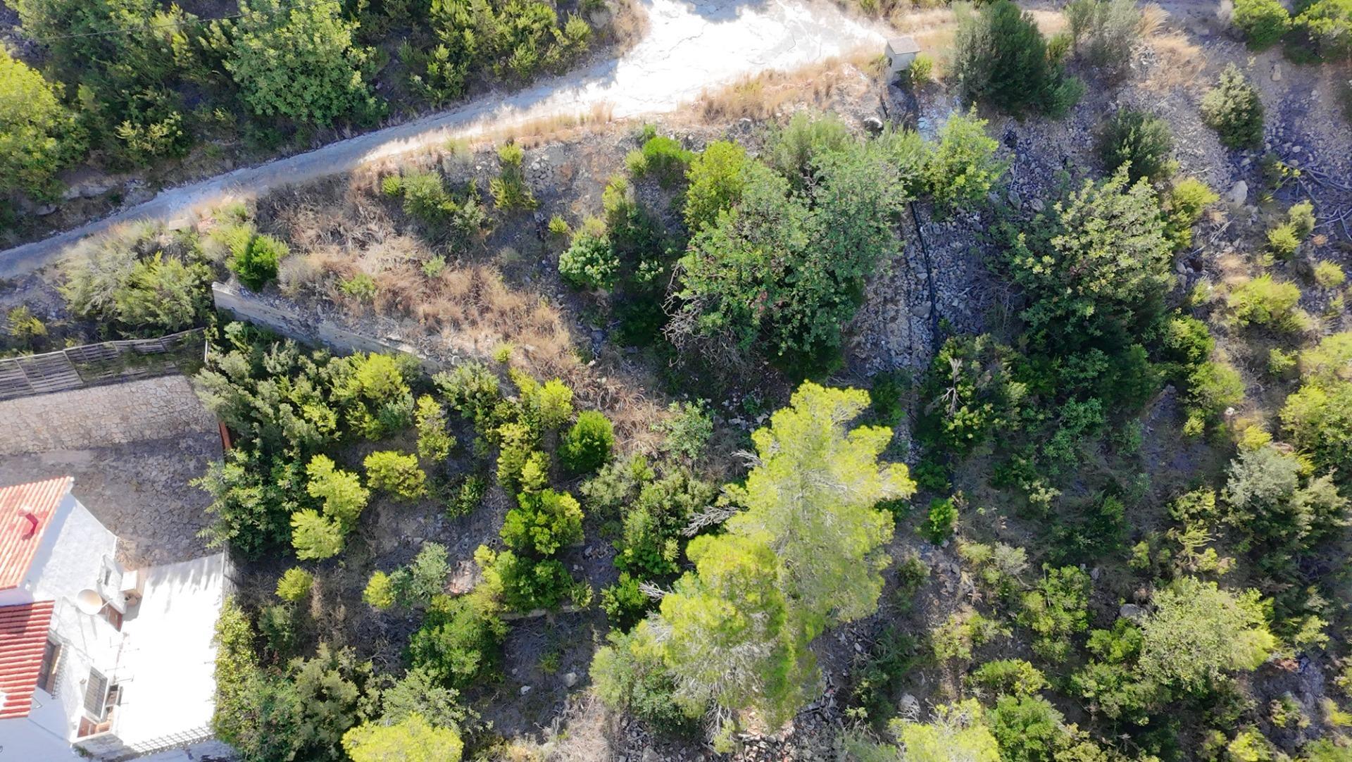 Casas o chalets-Venta-Gandia-2087014-Foto-84