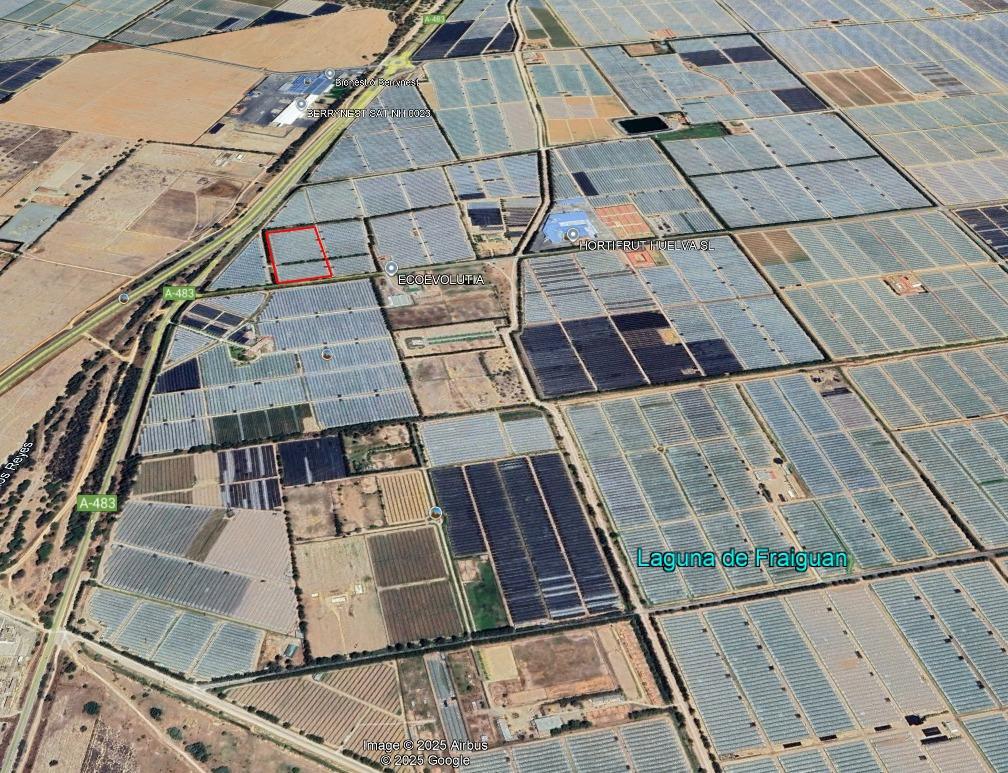 Fincas y solares-Venta-El rocio-1832526-Foto-5