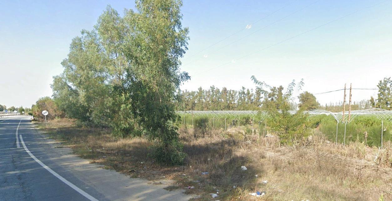 Fincas y solares-Venta-El rocio-1832526-Foto-15