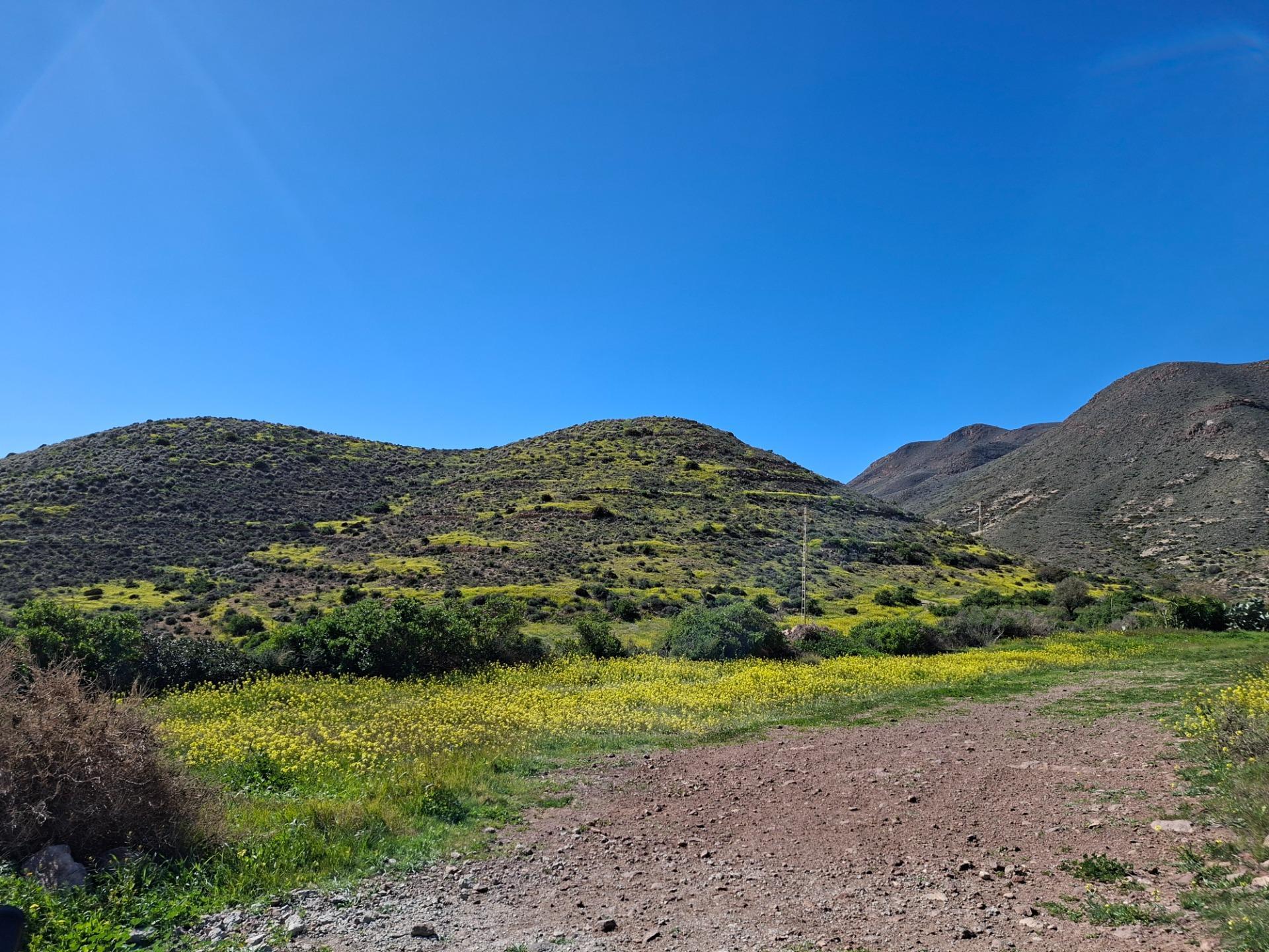 Casa Mediterranea, luz y tranquilidad a 3 km de la playa
