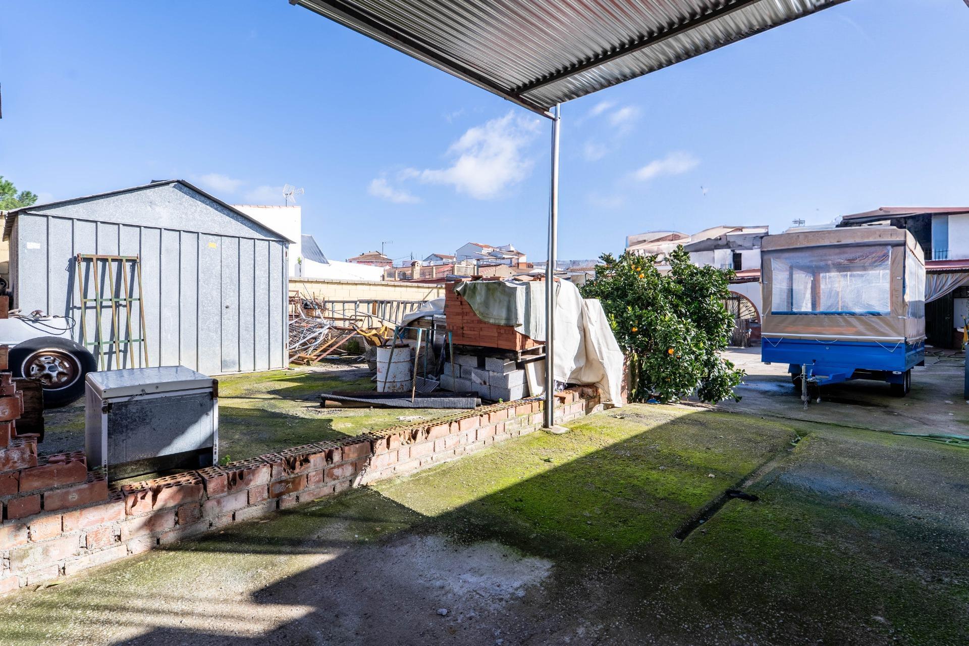 Casas o chalets-Venta-El Garrobo-2113725-Foto-36