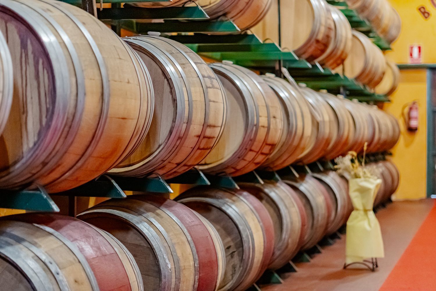 Edificios-Venta-Laguna de Duero-2114032-Foto-3