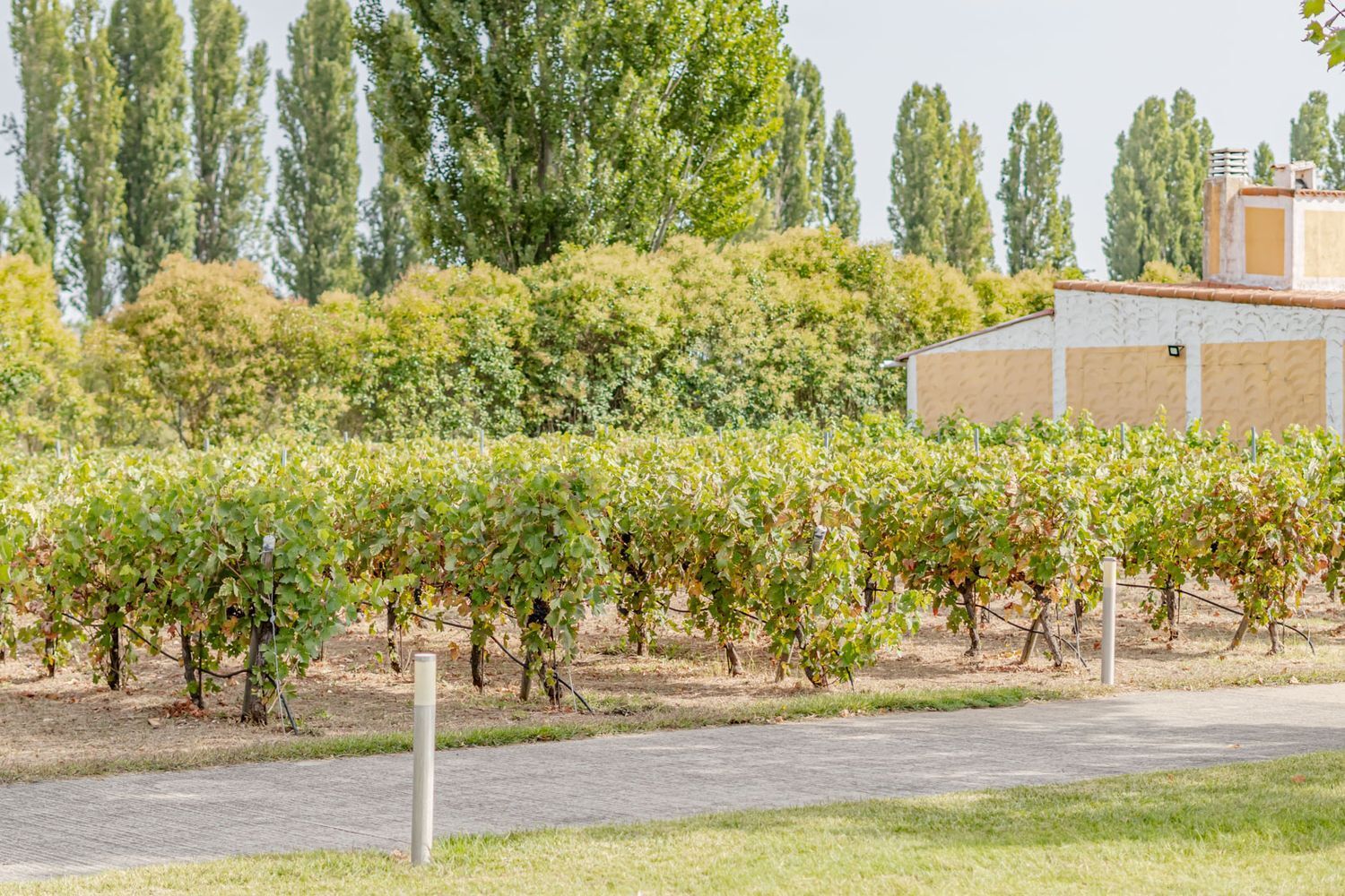 Edificios-Venta-Laguna de Duero-2114032-Foto-17