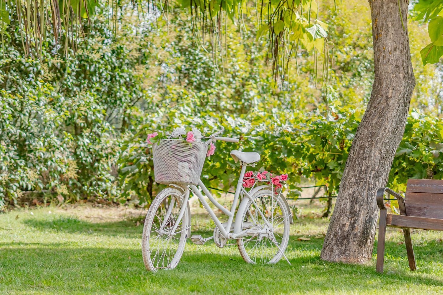 Edificios-Venta-Laguna de Duero-2114032-Foto-15