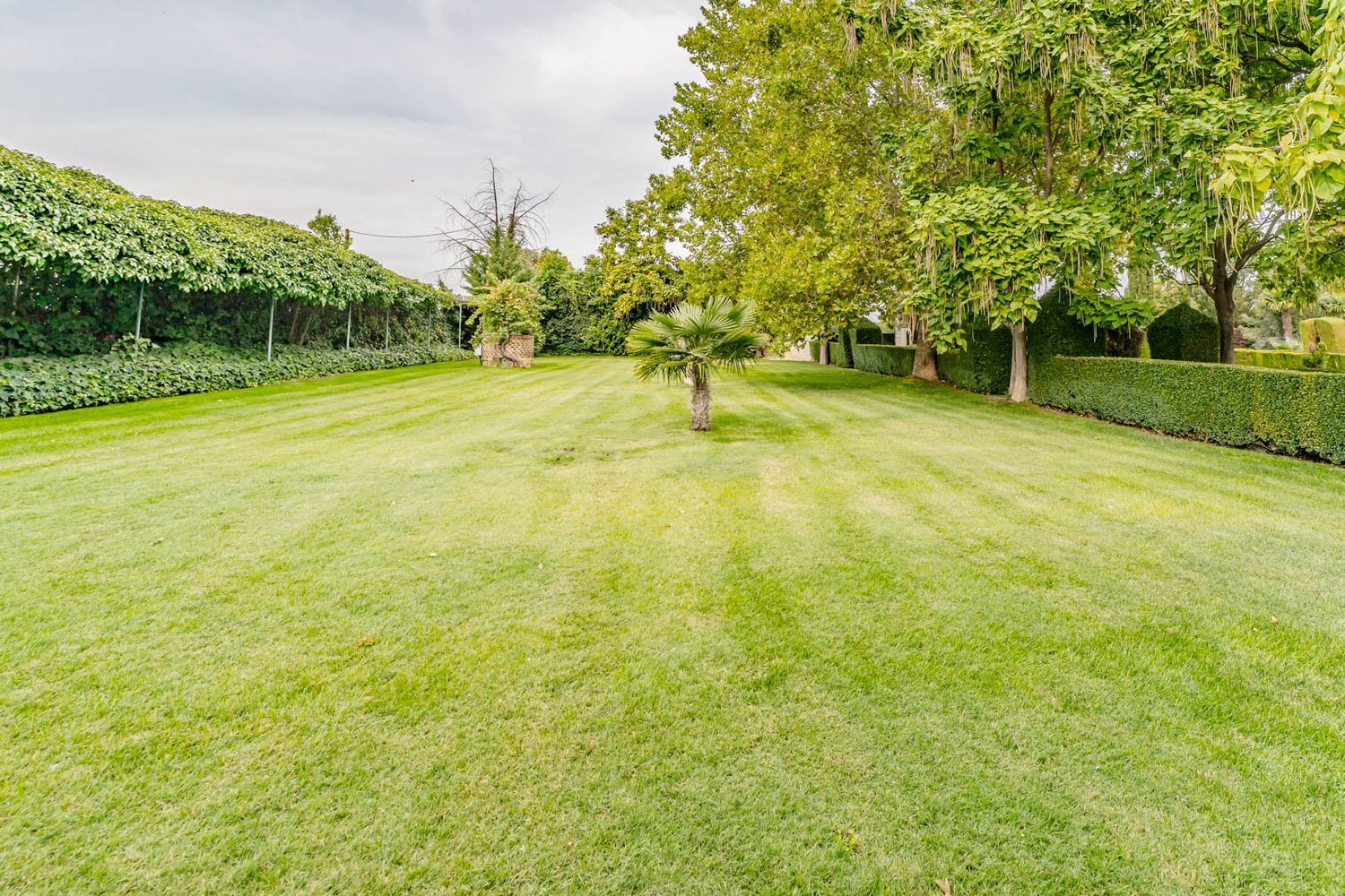 Edificios-Venta-Laguna de Duero-2114032-Foto-34