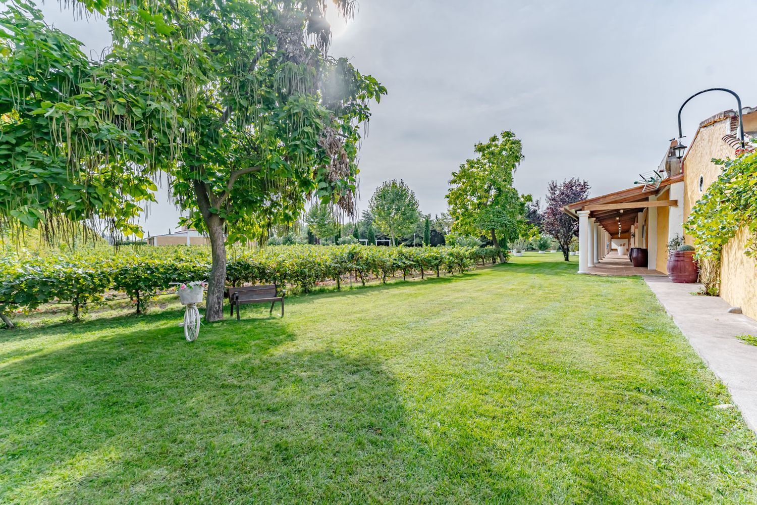 Edificios-Venta-Laguna de Duero-2114032-Foto-108