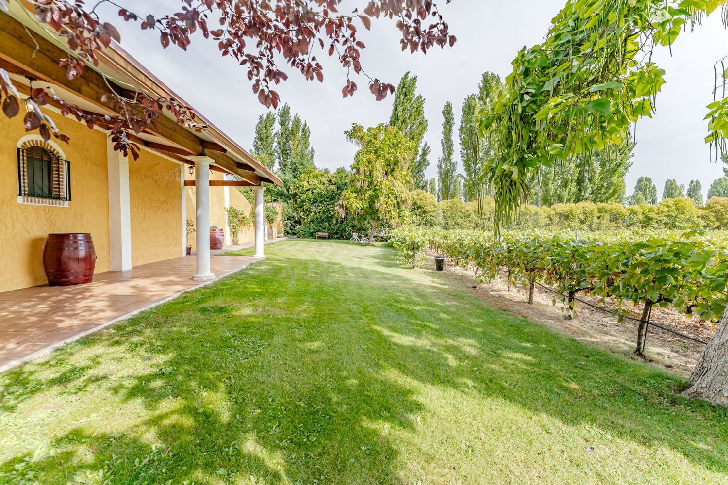 Edificios-Venta-Laguna de Duero-2114032-Foto-112