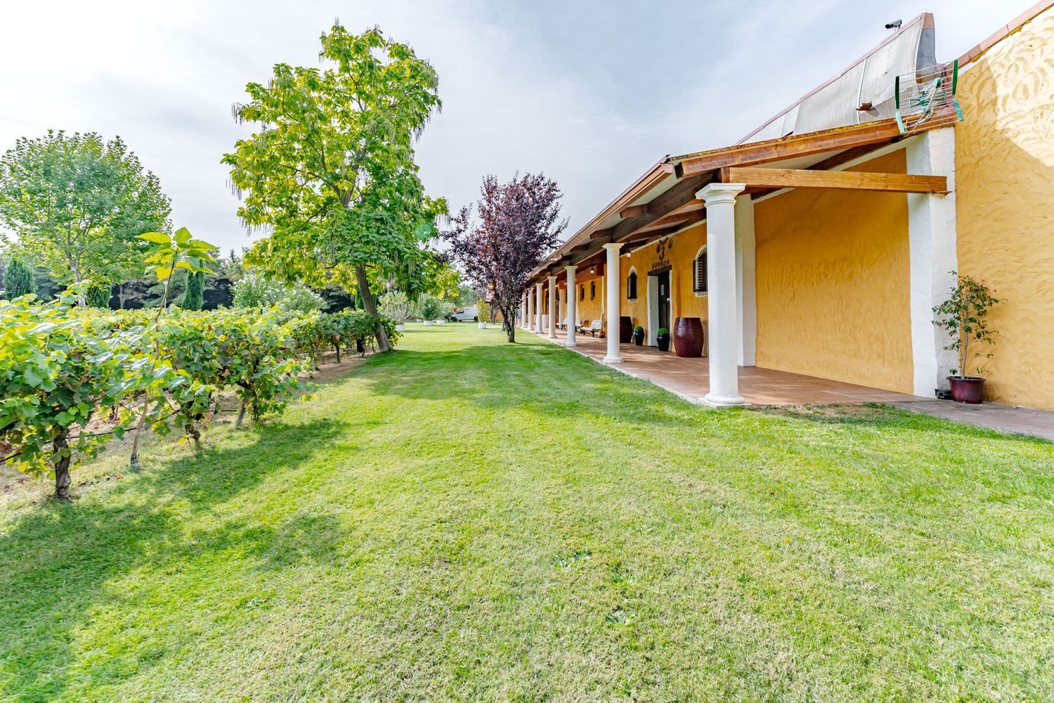 Edificios-Venta-Laguna de Duero-2114032-Foto-110