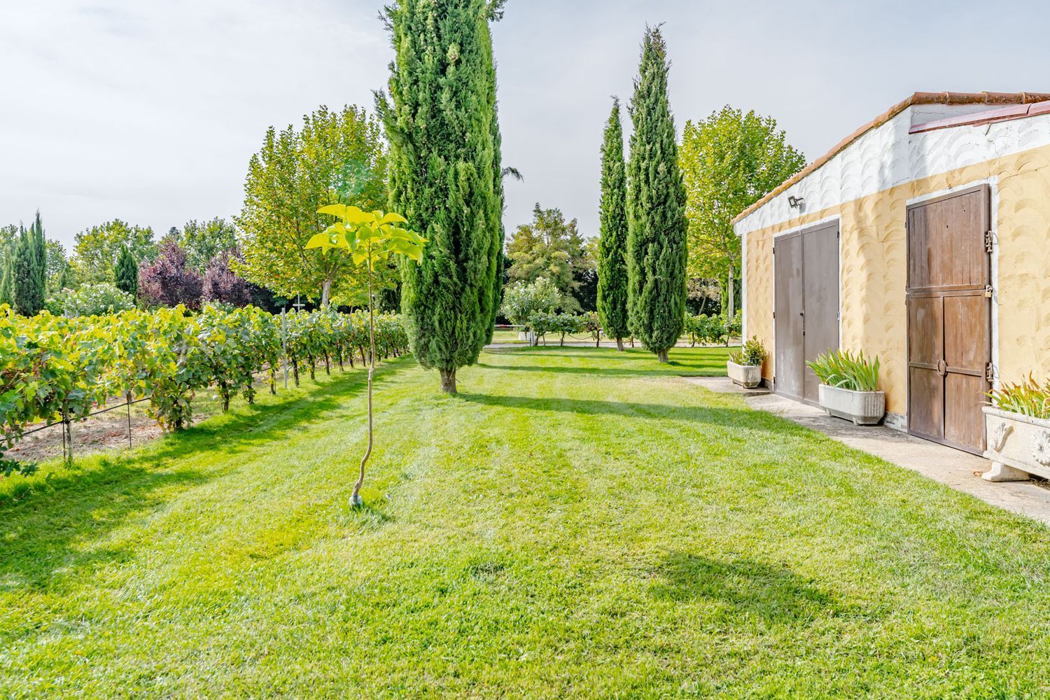 Edificios-Venta-Laguna de Duero-2114032-Foto-122