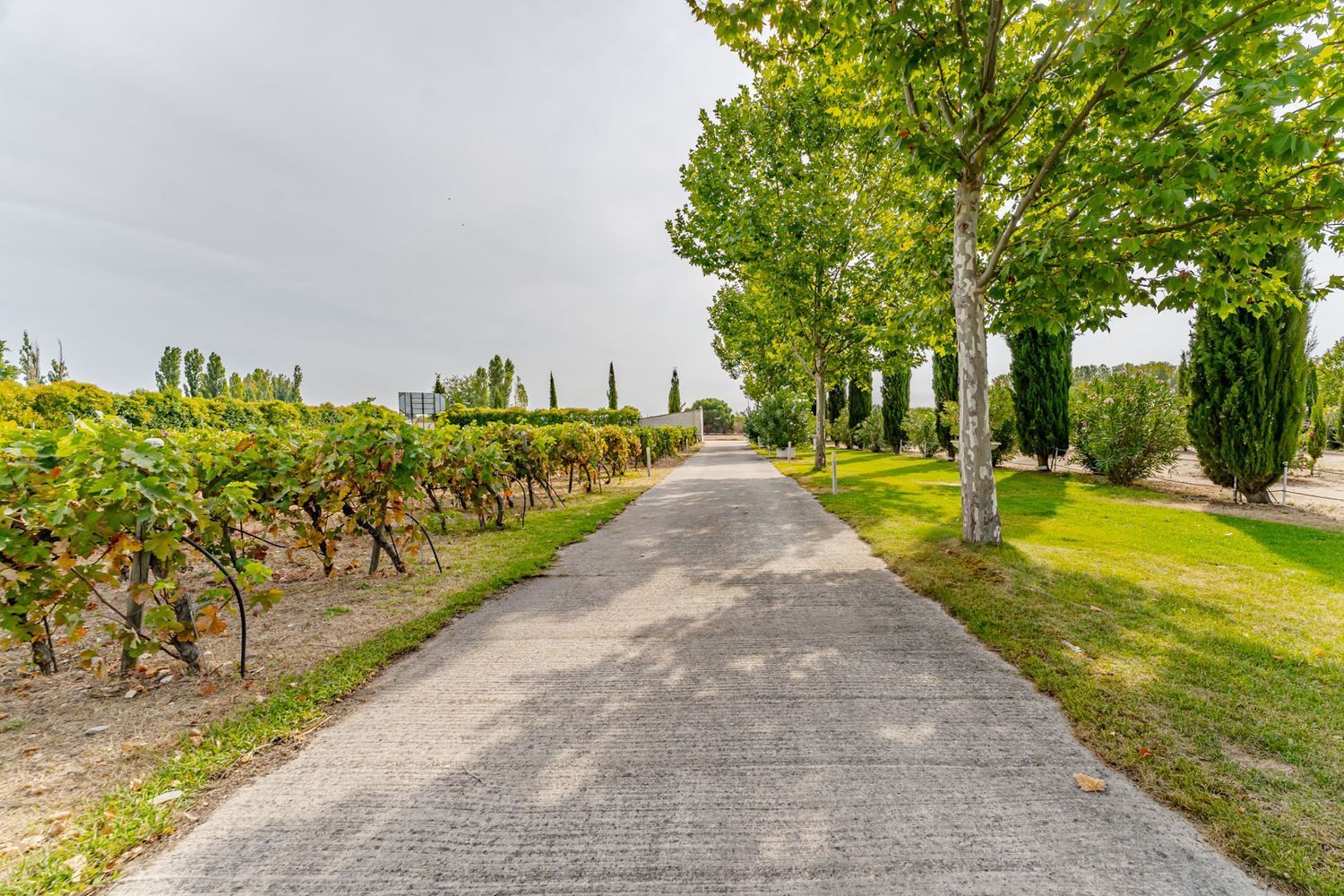 Edificios-Venta-Laguna de Duero-2114032-Foto-126