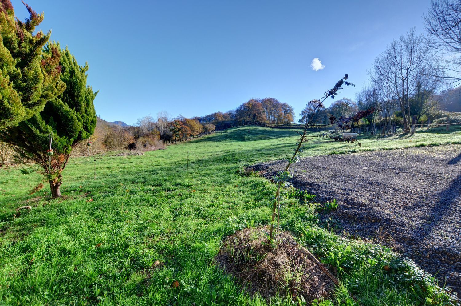 Pisos-Venta-Cangas de OnÃ­s-2031369-Foto-52