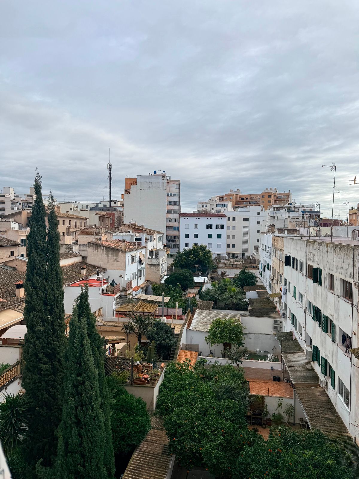 Pisos-Venta-Palma de Mallorca-2088162-Foto-8