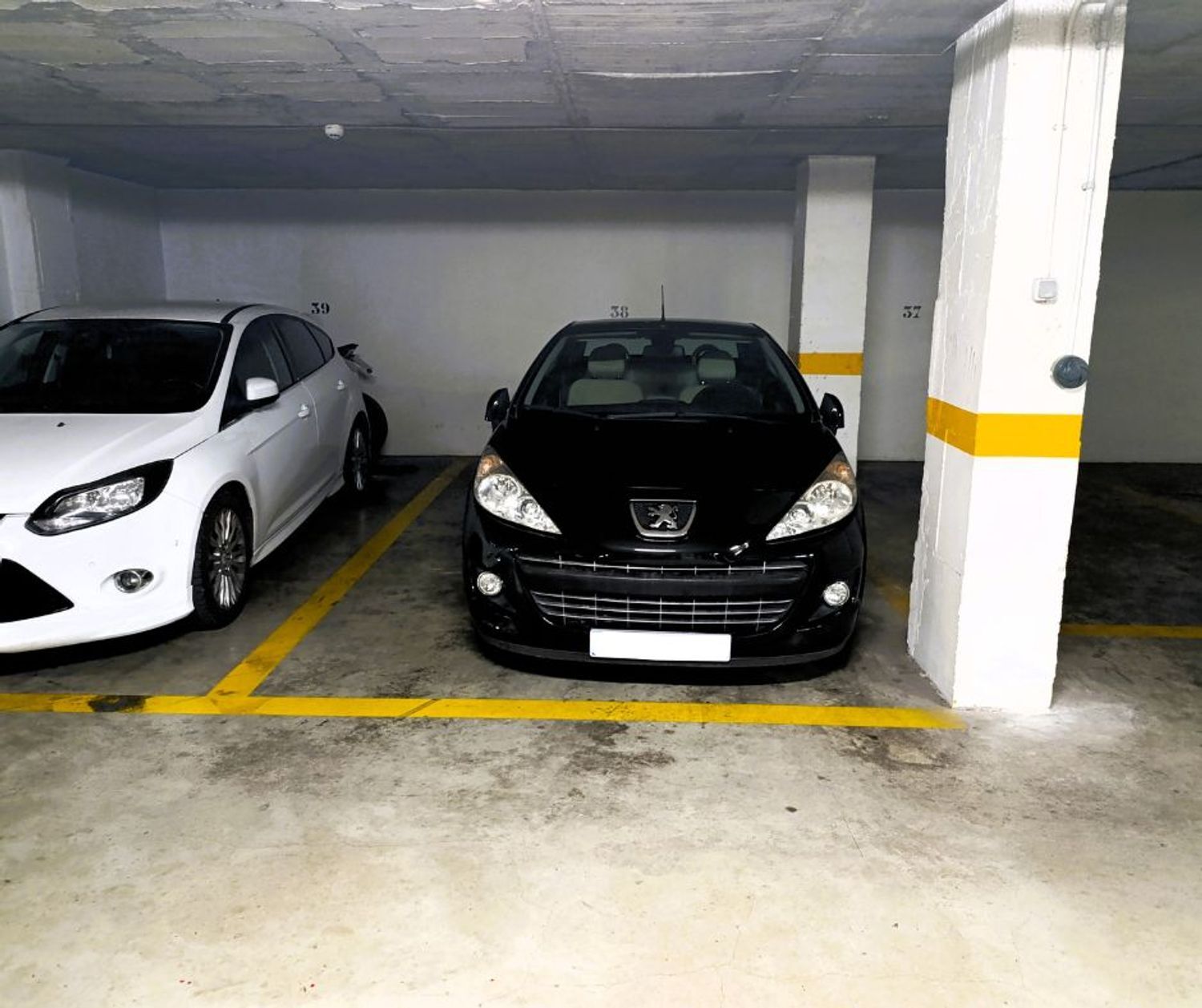 Garajes-Venta-Torrevieja-1706186-Foto-2