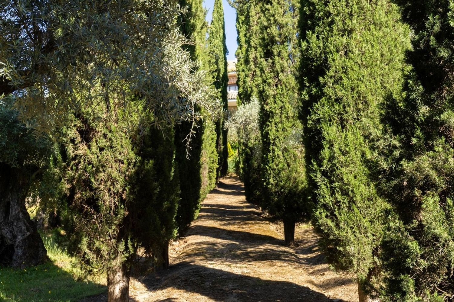 Casas o chalets-Venta-Toledo-1744111-Foto-44