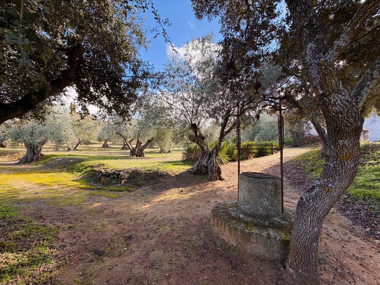 Casas o chalets-Venta-Toledo-1744111-Foto-47