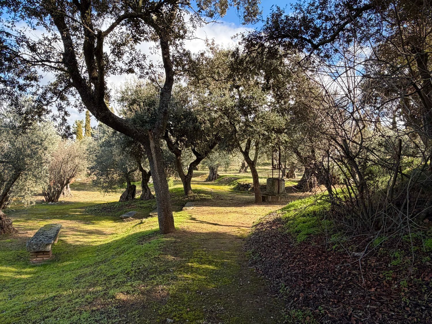 Casas o chalets-Venta-Toledo-1744111-Foto-50