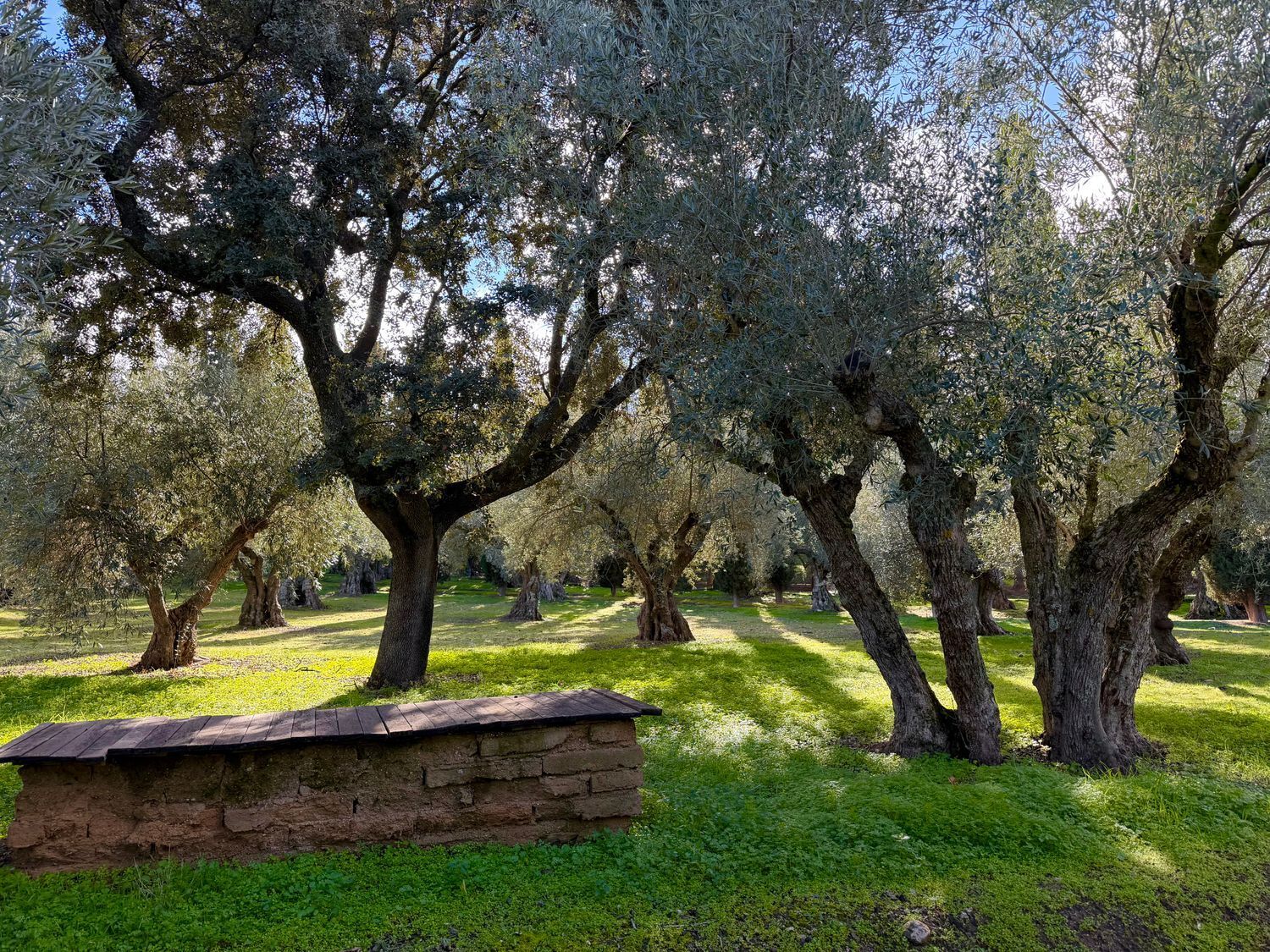 Casas o chalets-Venta-Toledo-1744111-Foto-52