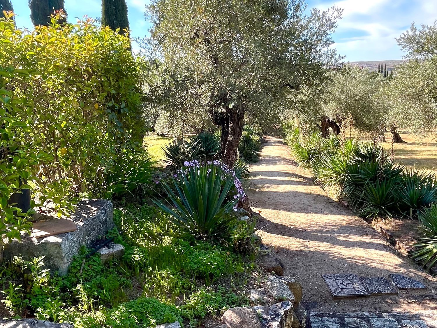 Casas o chalets-Venta-Toledo-1744111-Foto-54