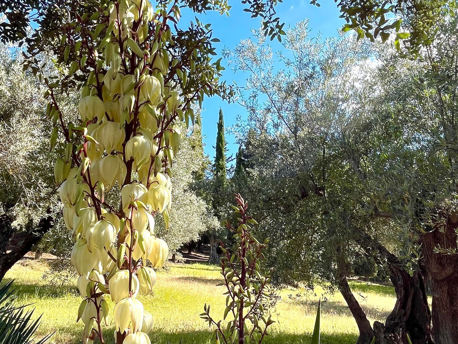 Casas o chalets-Venta-Toledo-1744111-Foto-55