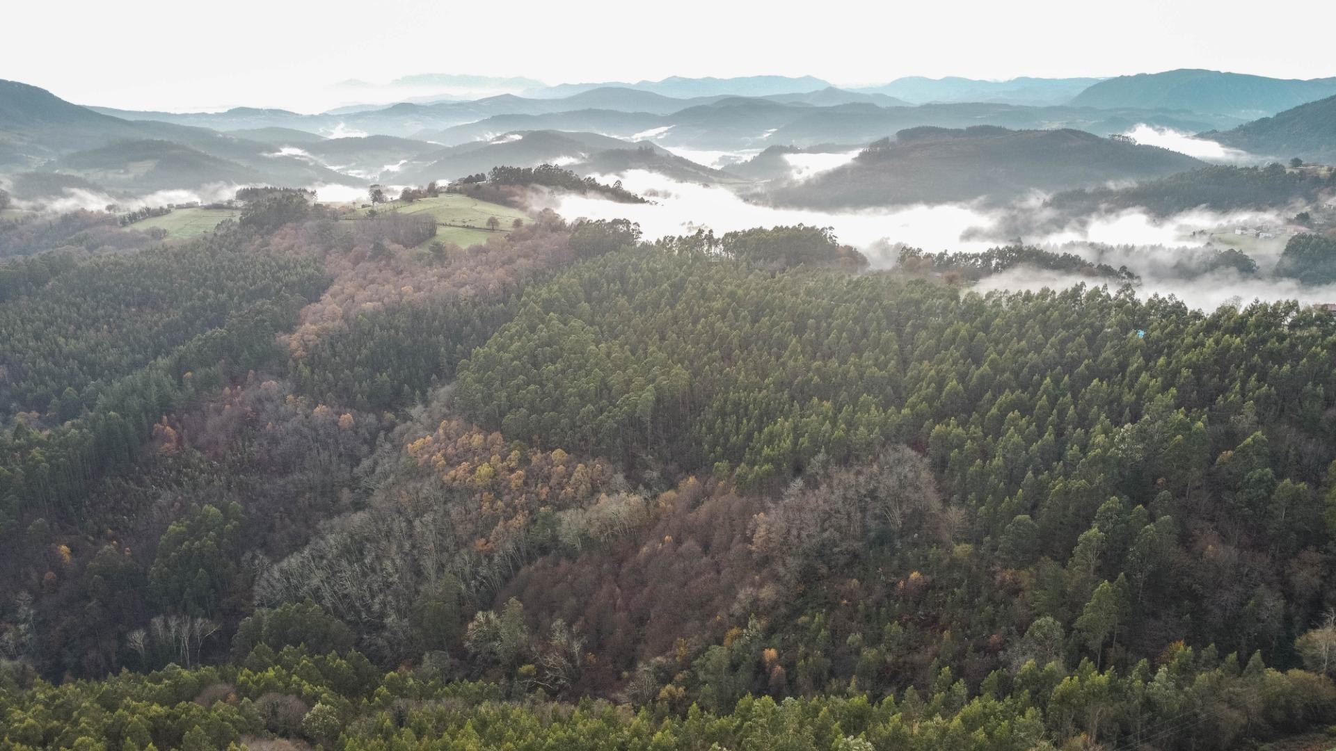 Negocios-Venta-Salas-2063634-Foto-59