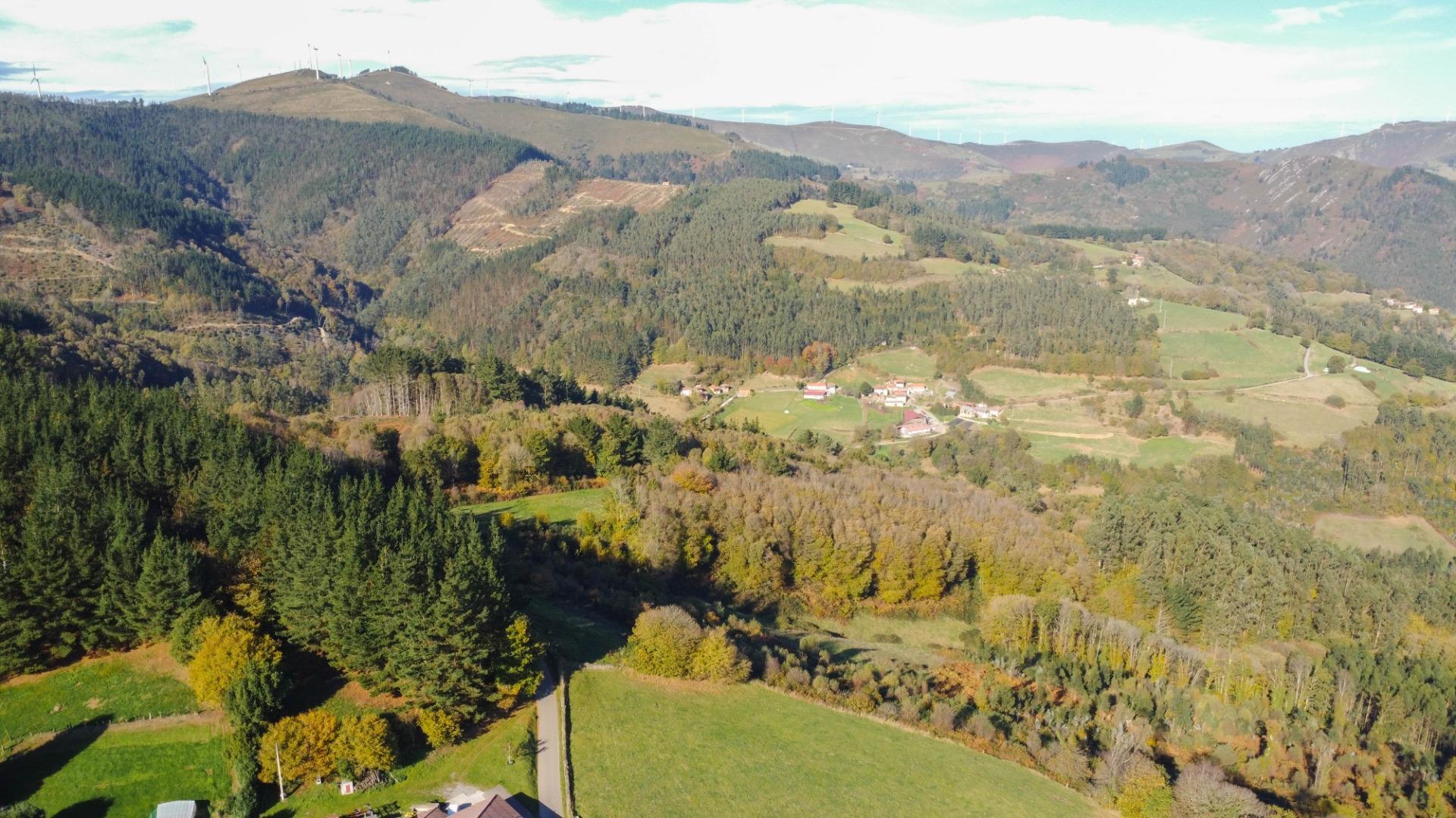 Casas o chalets-Venta-Salas-1974896-Foto-41