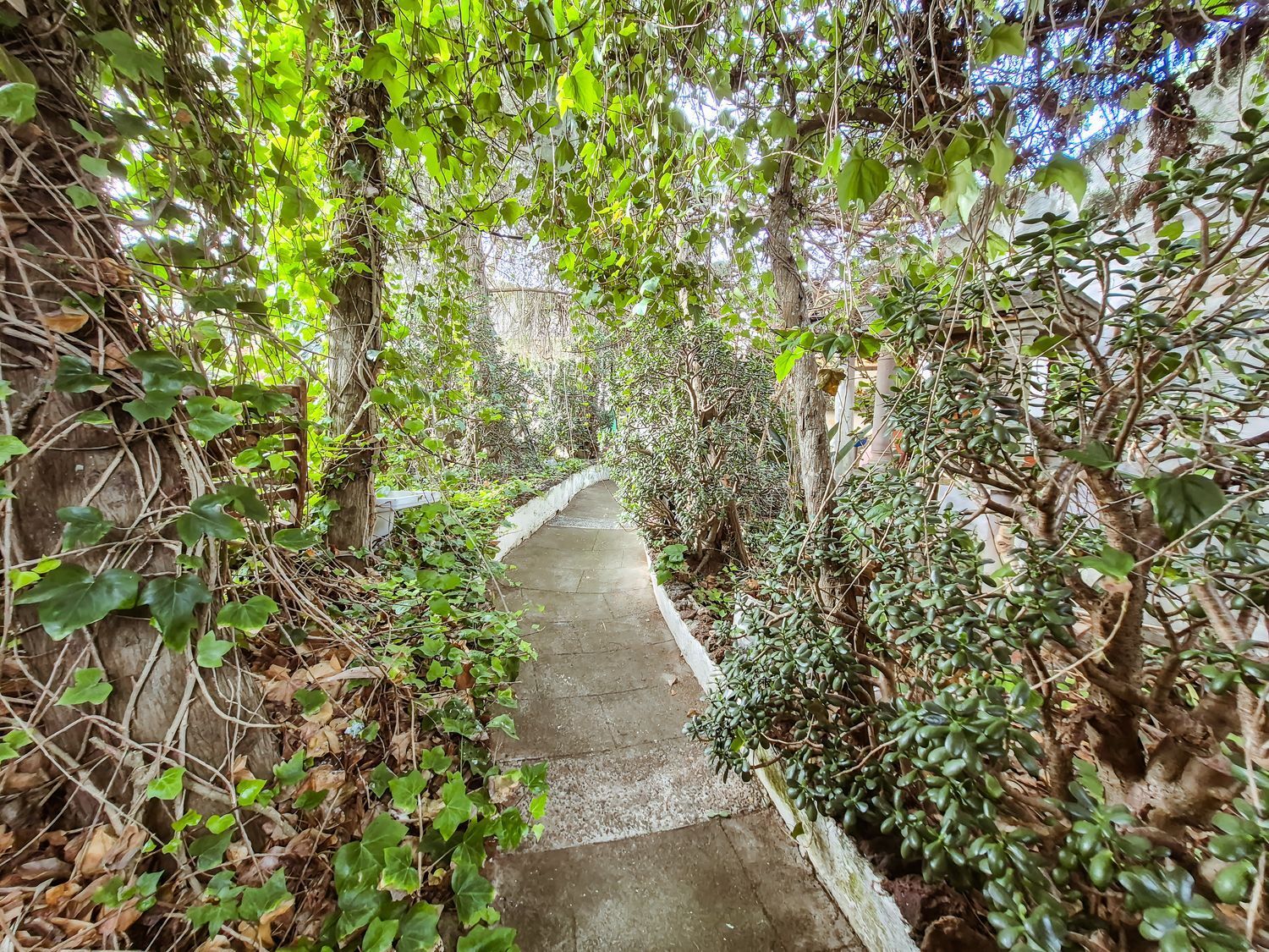 Propiedad en venta en Las Palmas, Las Palmas de Gran Canaria