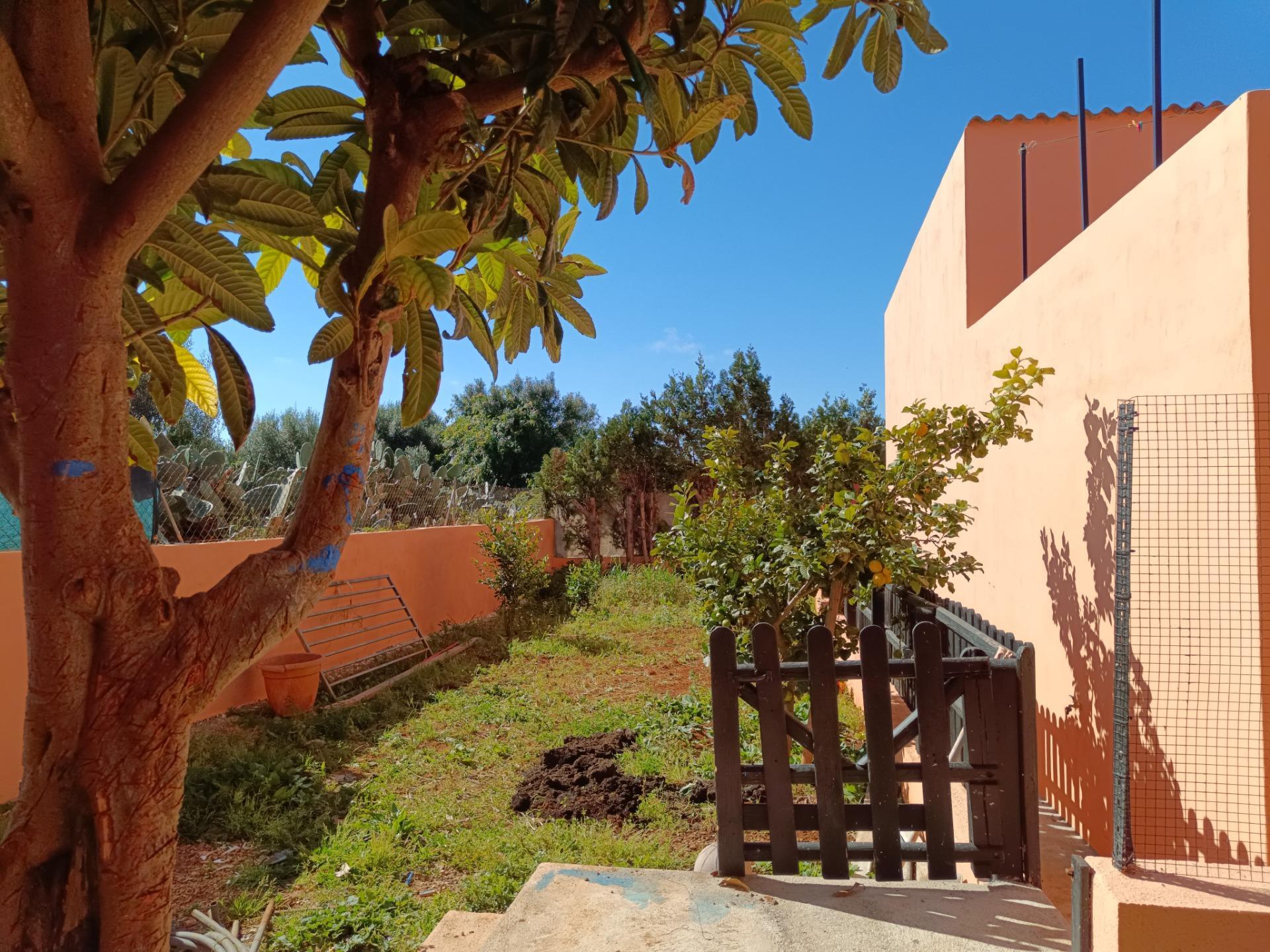 Casas o chalets-Venta-Manacor-2113707-Foto-45