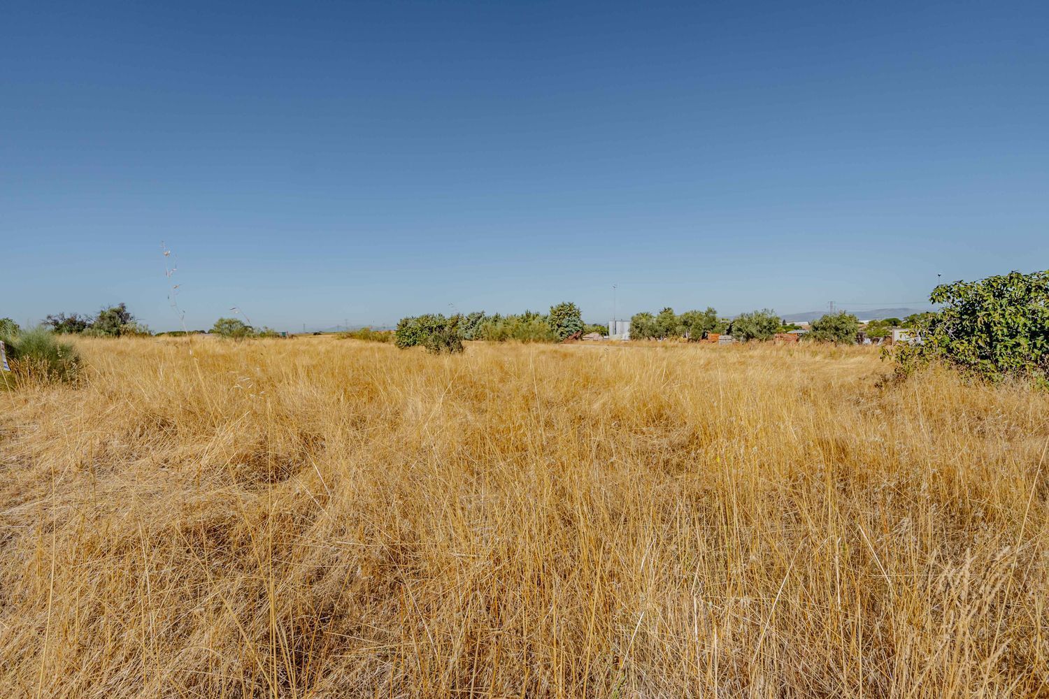 Fincas y solares-Venta-MÃ³stoles-2114092-Foto-5