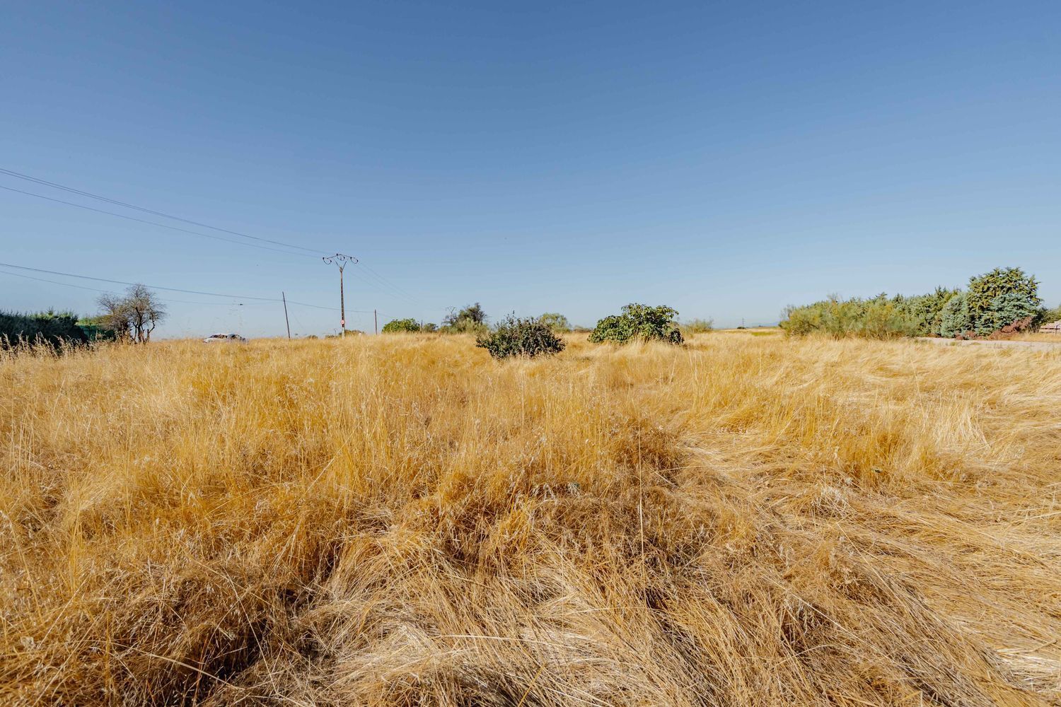 Fincas y solares-Venta-MÃ³stoles-2114092-Foto-8