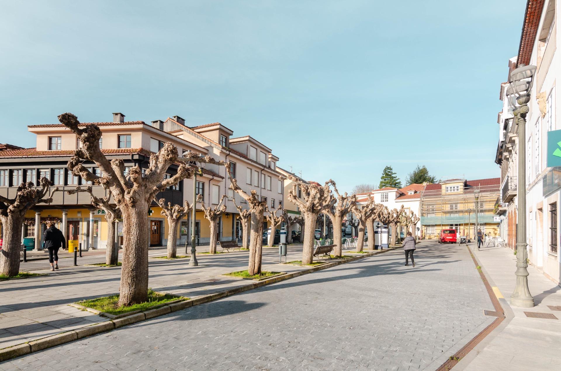 Pisos-Venta-Muros de NalÃ³n-2114113-Foto-34